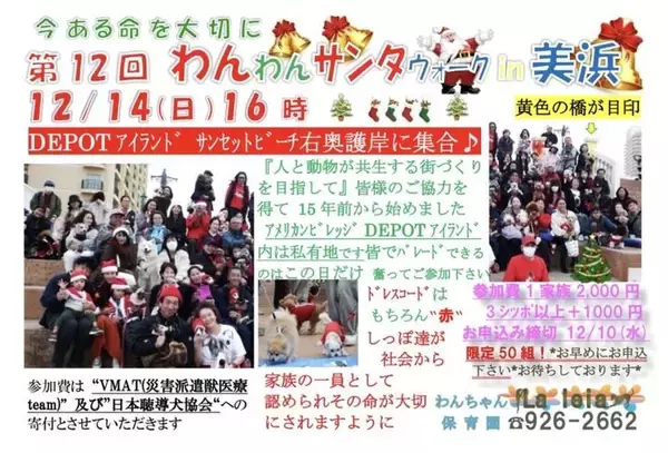 「【北谷町】わんちゃんとアメリカンビレッジをパレード『第12回 わんわんサンタウォーク in 美浜』2025年12月14日(日)開催♪【美ら浜つーしん】」の画像