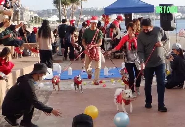 「【北谷町】わんちゃんとアメリカンビレッジをパレード『第12回 わんわんサンタウォーク in 美浜』2025年12月14日(日)開催♪【美ら浜つーしん】」の画像