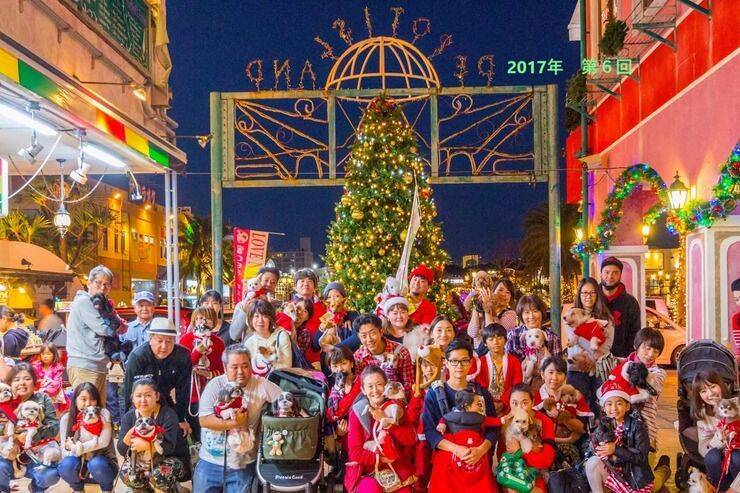 【北谷町】わんちゃんとアメリカンビレッジをパレード『第12回 わんわんサンタウォーク in 美浜』2025年12月14日(日)開催♪【美ら浜つーしん】