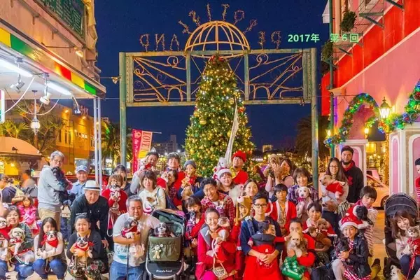 「【北谷町】わんちゃんとアメリカンビレッジをパレード『第12回 わんわんサンタウォーク in 美浜』2025年12月14日(日)開催♪【美ら浜つーしん】」の画像