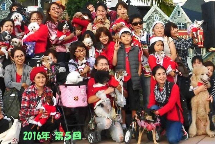 【北谷町】わんちゃんとアメリカンビレッジをパレード『第12回 わんわんサンタウォーク in 美浜』2025年12月14日(日)開催♪【美ら浜つーしん】