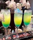 「グランピングできるキャンプ場　地元農家の強み生きるバーが融合　名護市勝山の自然を満喫」の画像1