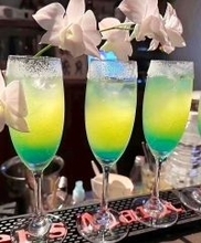 グランピングできるキャンプ場　地元農家の強み生きるバーが融合　名護市勝山の自然を満喫