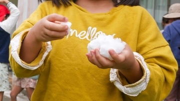 「冷たーい！」児童ら大はしゃぎ　新潟から雪の贈り物　沖縄・本部小、今年で30回目