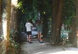 「「いつ大事故が…」沖縄の人気観光地・備瀬フクギ並木で危険走行　電動キックボード巡り住民悲鳴」の画像1