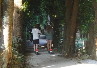 「いつ大事故が…」沖縄の人気観光地・備瀬フクギ並木で危険走行　電動キックボード巡り住民悲鳴