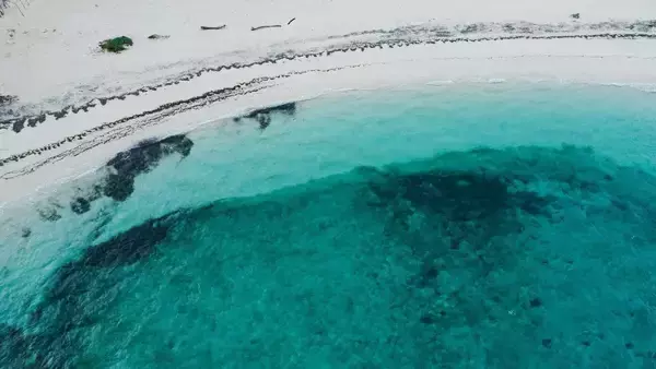 「埼玉の62歳男性が死亡　恩納村沖でダイビング中に意識不明」の画像