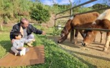 「かわいい」チャコとミーミー　観光客の人気スポットに　「レンタカーがゆっくり走ってくれる」住民も喜ぶ　沖縄・名護市