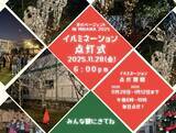 「【北谷町】美浜区公民館でイルミネーション『光のページェント in MIHAMA』　2025年11月28日(金)点灯式開催☆【美ら浜つーしん】」の画像2