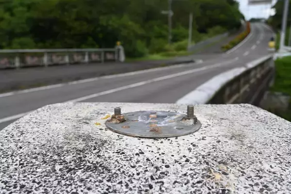 「どこに消えた？　高さ1メートルのパインのオブジェ　ボルトで固定していたが…名産地の沖縄・東村「情報求む」」の画像