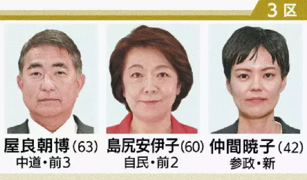 「衆院選　沖縄1～4区の立候補者17人　最終盤、街頭などで支持訴え」の画像