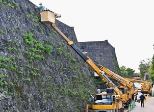 復興祭を前に首里城を清掃　城壁や通路を県電気工事業工業組合がボランティア　今回で4年目、61人が参加