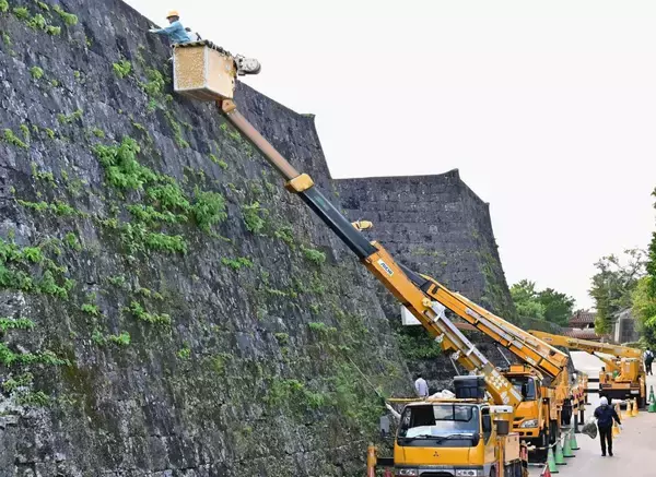 復興祭を前に首里城を清掃　城壁や通路を県電気工事業工業組合がボランティア　今回で4年目、61人が参加