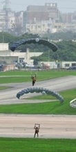 米軍、嘉手納でのパラシュート降下訓練を中止