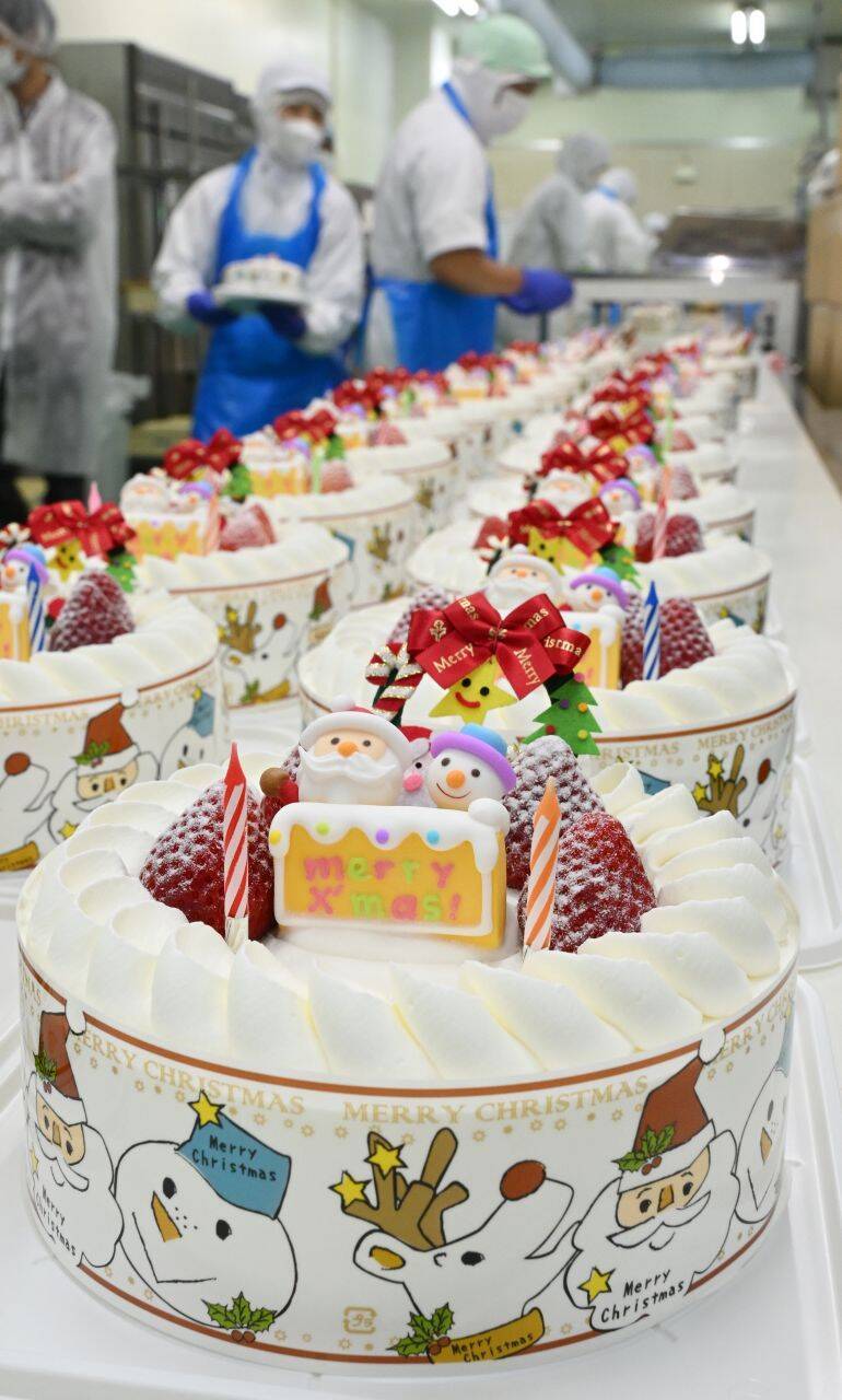 クリームやイチゴの香りふんわり　クリスマスケーキ作りがピーク　沖縄県内の菓子店