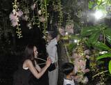 「「めちゃ映えるし！」　夜を彩る幻想的なサガリバナが見頃に　宮古島市の添道群生地がライトアップ」の画像2