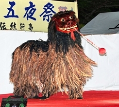 「うれしい時代の変化だ」女性初の獅子舞、15歳・13歳姉妹で挑戦　那覇市上間の十五夜祭