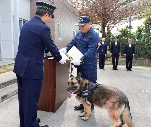 靴の臭いを頼りに追跡！警察犬レグルス号が事件解決　警部補と表彰、おやつのジャーキーを贈呈
