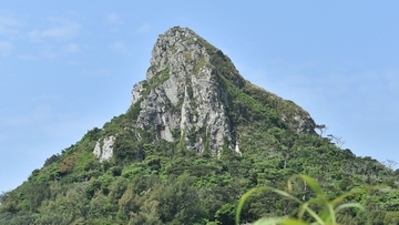 昨年の2倍近いペース　沖縄・伊江島一周マラソン、参加締め切り早める　ネット受け付けは定員達し次第