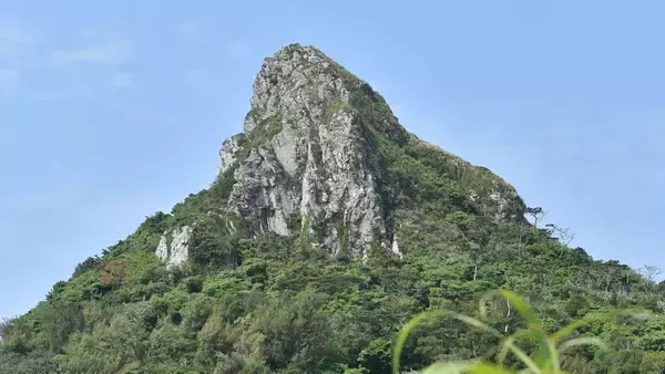 昨年の2倍近いペース　沖縄・伊江島一周マラソン、参加締め切り早める　ネット受け付けは定員達し次第