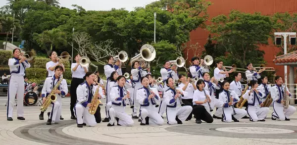 「ＧＷに見頃のヒマワリ絶景　美ら海水族館でも生演奏　沖縄・本部の海洋博公園【ＧＷ②】」の画像