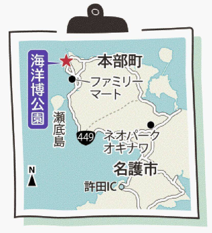 ＧＷに見頃のヒマワリ絶景　美ら海水族館でも生演奏　沖縄・本部の海洋博公園【ＧＷ②】