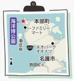 「ＧＷに見頃のヒマワリ絶景　美ら海水族館でも生演奏　沖縄・本部の海洋博公園【ＧＷ②】」の画像3