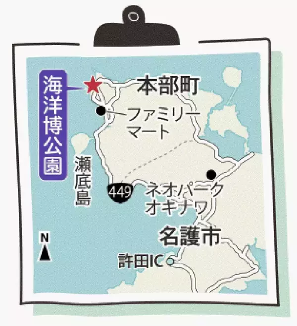 「ＧＷに見頃のヒマワリ絶景　美ら海水族館でも生演奏　沖縄・本部の海洋博公園【ＧＷ②】」の画像