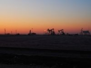 「力こそ正義」に抗して　年明けに岐路に立つ世界［安田菜津紀エッセイ］