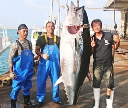 大物クロマグロ194kg　石垣漁港で初水揚げ「ようやくの第1号」　豊洲市場へ