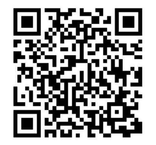 純白に染まる伊江島　テッポウユリの魅力満喫の花の祭典　きょう25日から「ゆり祭り」