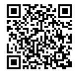 「純白に染まる伊江島　テッポウユリの魅力満喫の花の祭典　きょう25日から「ゆり祭り」」の画像2