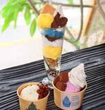 「マンゴーなど旬のフルーツふんだんに　体に優しい果物ジェラート　沖縄・宜野湾市「MAON VEGAN FACTORY」」の画像1