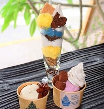 マンゴーなど旬のフルーツふんだんに　体に優しい果物ジェラート　沖縄・宜野湾市「MAON VEGAN FACTORY」