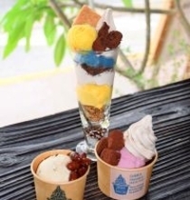 マンゴーなど旬のフルーツふんだんに　体に優しい果物ジェラート　沖縄・宜野湾市「MAON VEGAN FACTORY」