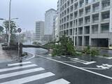 「【台風6号】沖縄で5人が負傷　風にあおられて転倒　車の窓が破損（1日午後3時現在）」の画像1