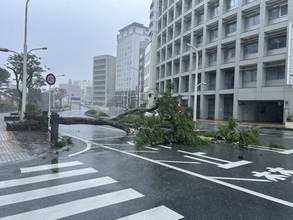 【台風6号】沖縄で5人が負傷　風にあおられて転倒　車の窓が破損（1日午後3時現在）