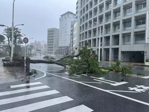 【台風6号】沖縄で5人が負傷　風にあおられて転倒　車の窓が破損（1日午後3時現在）
