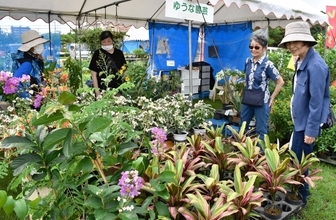 花木がお値打ち　園芸ファンでにぎわう「大植木市」　6月14日まで沖縄市で開催