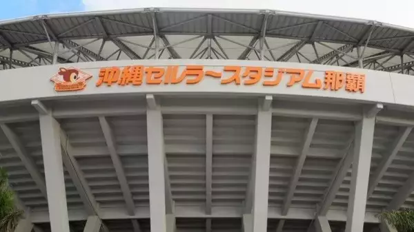 興南とエナジックが激突　県春季高校野球、きょう8日決勝　午前10時開始【動画あり】
