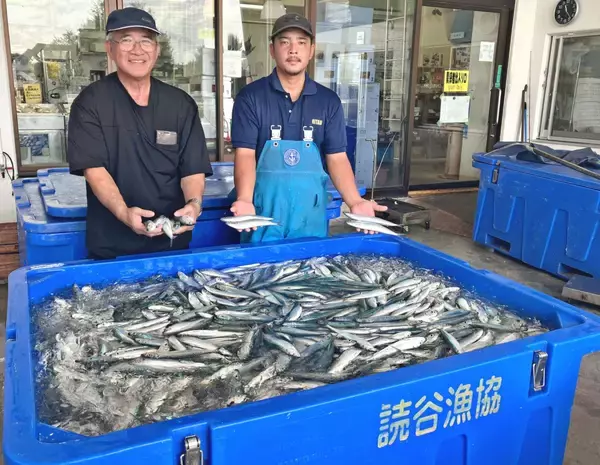 「なぜこの季節に」春先の魚、ミジュンが大漁　読谷村・都屋漁港で４トンの水揚げ
