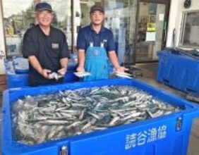 「なぜこの季節に」春先の魚、ミジュンが大漁　読谷村・都屋漁港で４トンの水揚げ