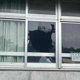「那覇市の小学校でガラス8枚割られる　給食メニュー変更　市内他校でも被害」の画像1