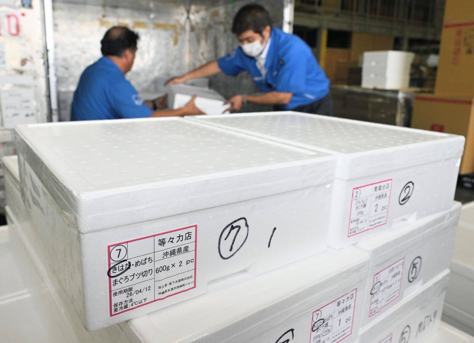 「新鮮なまま食べて」　沖縄産生マグロを首都圏へ　生食できる鮮度で輸送可能に【動画あり】