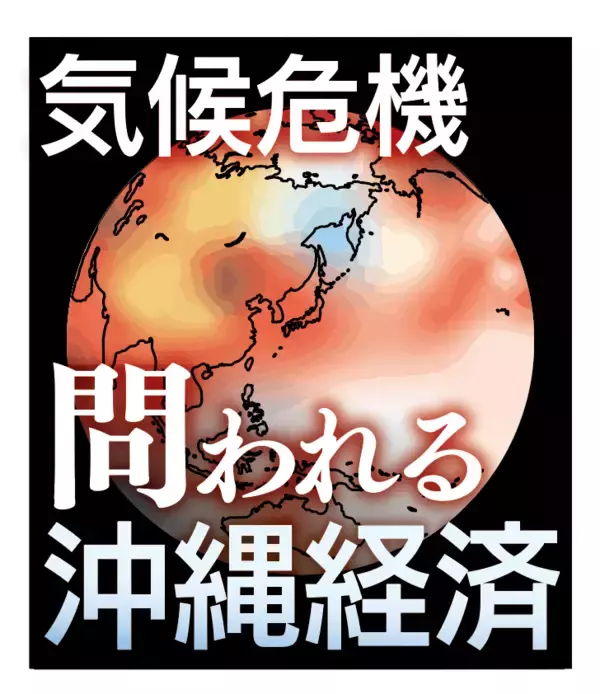 「【予告】1月の見どころ：名護市長選と新連載ラインナップ」の画像