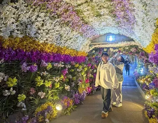 豪華！25mの「ラントンネル」　沖縄国際洋蘭博覧会が開幕　2万点以上が彩る　本部町・海洋博公園