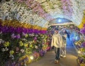 豪華！25mの「ラントンネル」　沖縄国際洋蘭博覧会が開幕　2万点以上が彩る　本部町・海洋博公園