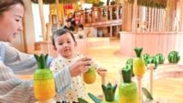 木の世界に夢中　家族で楽しめる「体験型ミュージアム」　国頭・やんばる森のおもちゃ美術館