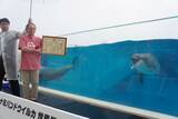「【速報】長寿イルカ「オキちゃん」死ぬ　沖縄・海洋博から50年現役　夏頃から体調不良」の画像2