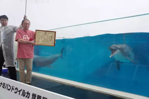 「【速報】長寿イルカ「オキちゃん」死ぬ　沖縄・海洋博から50年現役　夏頃から体調不良」の画像